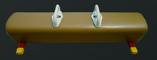 Load image into Gallery viewer, Gaofei Floor Pommel Horse