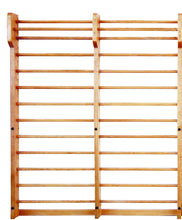 Load image into Gallery viewer, Gaofei Wall Bars
